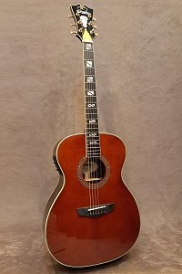 D'Angelico EX Tammany Auburn
